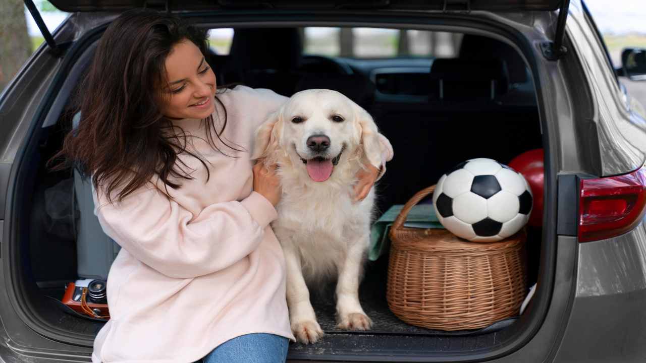 viaggio con cane