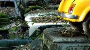 Auto invendute: scoperto un cimitero